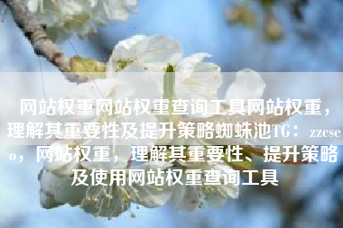 网站权重网站权重查询工具网站权重，理解其重要性及提升策略蜘蛛池TG：zzcseo，网站权重，理解其重要性、提升策略及使用网站权重查询工具