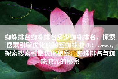 蜘蛛排名蜘蛛排名多少蜘蛛排名，探索搜索引擎优化的秘密蜘蛛池TG：zzcseo，探索搜索引擎优化秘密，蜘蛛排名与蜘蛛池TG的秘密