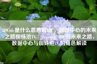 IDCidc是什么意思啊IDC，数据中心的未来之路蜘蛛池TG：zzcseo，IDC的未来之路，数据中心与蜘蛛池TG的角色解读