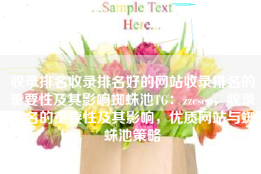 收录排名收录排名好的网站收录排名的重要性及其影响蜘蛛池TG：zzcseo，收录排名的重要性及其影响，优质网站与蜘蛛池策略