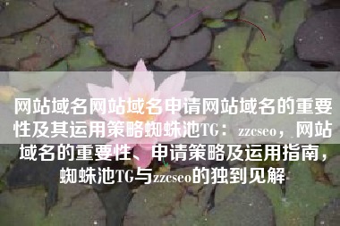 网站域名网站域名申请网站域名的重要性及其运用策略蜘蛛池TG：zzcseo，网站域名的重要性、申请策略及运用指南，蜘蛛池TG与zzcseo的独到见解