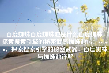 百度蜘蛛百度蜘蛛池是什么百度蜘蛛，探索搜索引擎的秘密武器蜘蛛池TG：zzcseo，探索搜索引擎的秘密武器，百度蜘蛛与蜘蛛池详解