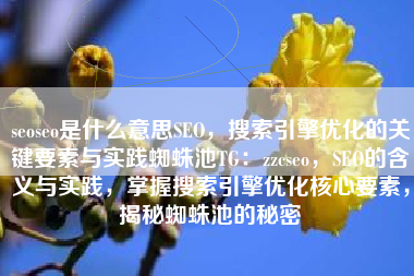 seoseo是什么意思SEO，搜索引擎优化的关键要素与实践蜘蛛池TG：zzcseo，SEO的含义与实践，掌握搜索引擎优化核心要素，揭秘蜘蛛池的秘密