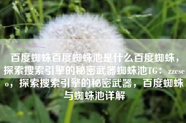 百度蜘蛛百度蜘蛛池是什么百度蜘蛛，探索搜索引擎的秘密武器蜘蛛池TG：zzcseo，探索搜索引擎的秘密武器，百度蜘蛛与蜘蛛池详解