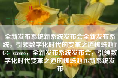 全新发布系统新系统发布会全新发布系统，引领数字化时代的变革之道蜘蛛池TG：zzcseo，全新发布系统发布会，引领数字化时代变革之道的蜘蛛池TG新系统发布