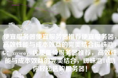 便宜服务器便宜服务器推荐便宜服务器，高效性能与成本效益的完美结合蜘蛛池TG：zzcseo，优质低价服务器推荐，高效性能与成本效益的完美结合，蜘蛛池TG助你轻松选购服务器！