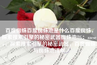 百度蜘蛛百度蜘蛛池是什么百度蜘蛛，探索搜索引擎的秘密武器蜘蛛池TG：zzcseo，探索搜索引擎的秘密武器，百度蜘蛛与蜘蛛池详解