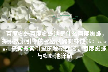 百度蜘蛛百度蜘蛛池是什么百度蜘蛛，探索搜索引擎的秘密武器蜘蛛池TG：zzcseo，探索搜索引擎的秘密武器，百度蜘蛛与蜘蛛池详解