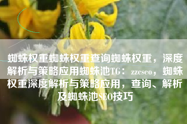 蜘蛛权重蜘蛛权重查询蜘蛛权重，深度解析与策略应用蜘蛛池TG：zzcseo，蜘蛛权重深度解析与策略应用，查询、解析及蜘蛛池SEO技巧