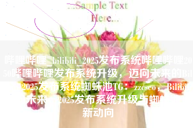 哔哩哔哩_bilibili_2025发布系统哔哩哔哩2050哔哩哔哩发布系统升级，迈向未来的Bilibili 2025发布系统蜘蛛池TG：zzcseo，Bilibili迈向未来，2025发布系统升级与蜘蛛池TG新动向