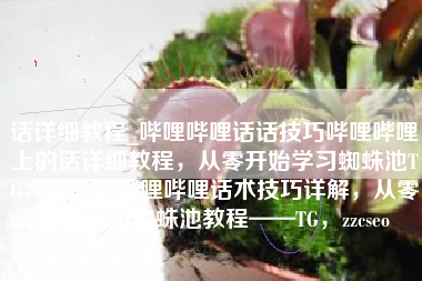 话详细教程_哔哩哔哩话话技巧哔哩哔哩上的话详细教程，从零开始学习蜘蛛池TG：zzcseo，哔哩哔哩话术技巧详解，从零开始学习蜘蛛池教程——TG，zzcseo