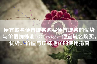 便宜域名便宜域名购买便宜域名的优势与价值蜘蛛池TG：zzcseo，便宜域名购买，优势、价值与蜘蛛池TG的使用指南