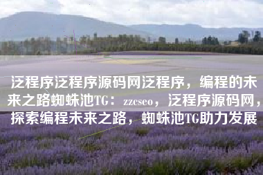 泛程序泛程序源码网泛程序，编程的未来之路蜘蛛池TG：zzcseo，泛程序源码网，探索编程未来之路，蜘蛛池TG助力发展