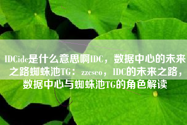 IDCidc是什么意思啊IDC，数据中心的未来之路蜘蛛池TG：zzcseo，IDC的未来之路，数据中心与蜘蛛池TG的角色解读