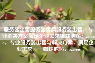服务器出售服务器售卖服务器出售，专业解决方案满足企业需求蜘蛛池TG：zzcseo，专业服务器出售与解决方案，满足企业需求——蜘蛛池TG，zzcseo