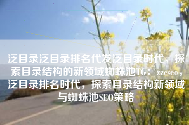 泛目录泛目录排名代发泛目录时代，探索目录结构的新领域蜘蛛池TG：zzcseo，泛目录排名时代，探索目录结构新领域与蜘蛛池SEO策略