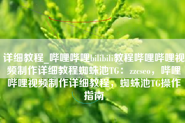 详细教程_哔哩哔哩bilibili教程哔哩哔哩视频制作详细教程蜘蛛池TG：zzcseo，哔哩哔哩视频制作详细教程，蜘蛛池TG操作指南