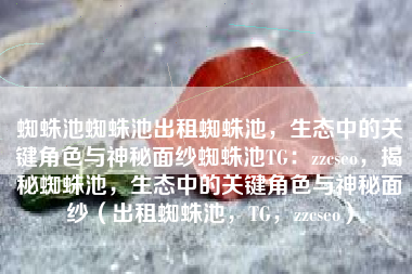 蜘蛛池蜘蛛池出租蜘蛛池，生态中的关键角色与神秘面纱蜘蛛池TG：zzcseo，揭秘蜘蛛池，生态中的关键角色与神秘面纱（出租蜘蛛池，TG，zzcseo）