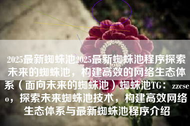 2025最新蜘蛛池2025最新蜘蛛池程序探索未来的蜘蛛池，构建高效的网络生态体系（面向未来的蜘蛛池）蜘蛛池TG：zzcseo，探索未来蜘蛛池技术，构建高效网络生态体系与最新蜘蛛池程序介绍