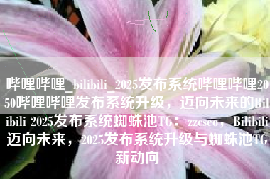 哔哩哔哩_bilibili_2025发布系统哔哩哔哩2050哔哩哔哩发布系统升级，迈向未来的Bilibili 2025发布系统蜘蛛池TG：zzcseo，Bilibili迈向未来，2025发布系统升级与蜘蛛池TG新动向