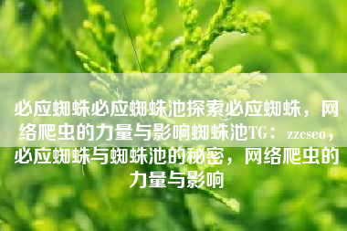 必应蜘蛛必应蜘蛛池探索必应蜘蛛，网络爬虫的力量与影响蜘蛛池TG：zzcseo，必应蜘蛛与蜘蛛池的秘密，网络爬虫的力量与影响