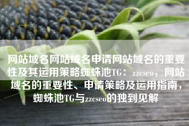 网站域名网站域名申请网站域名的重要性及其运用策略蜘蛛池TG：zzcseo，网站域名的重要性、申请策略及运用指南，蜘蛛池TG与zzcseo的独到见解