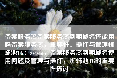 备案服务器备案服务器到期域名还能用吗备案服务器，重要性、操作与管理蜘蛛池TG：zzcseo，备案服务器到期域名使用问题及管理与操作，蜘蛛池TG的重要性探讨