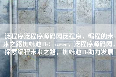 泛程序泛程序源码网泛程序，编程的未来之路蜘蛛池TG：zzcseo，泛程序源码网，探索编程未来之路，蜘蛛池TG助力发展