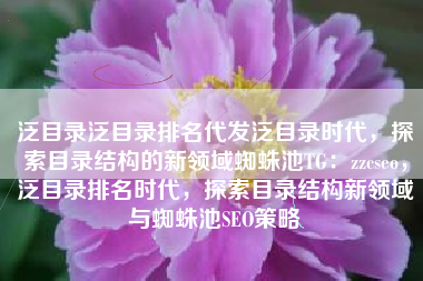 泛目录泛目录排名代发泛目录时代，探索目录结构的新领域蜘蛛池TG：zzcseo，泛目录排名时代，探索目录结构新领域与蜘蛛池SEO策略