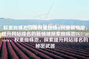 权重蜘蛛池百度权重蜘蛛ip权重蜘蛛池，提升网站排名的新领域探索蜘蛛池TG：zzcseo，权重蜘蛛池，探索提升网站排名的秘密武器