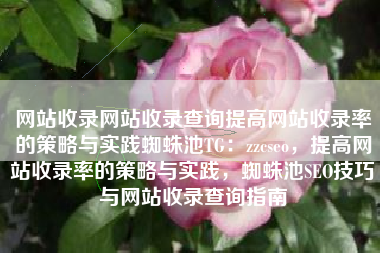 网站收录网站收录查询提高网站收录率的策略与实践蜘蛛池TG：zzcseo，提高网站收录率的策略与实践，蜘蛛池SEO技巧与网站收录查询指南
