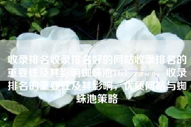 收录排名收录排名好的网站收录排名的重要性及其影响蜘蛛池TG：zzcseo，收录排名的重要性及其影响，优质网站与蜘蛛池策略