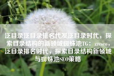 泛目录泛目录排名代发泛目录时代，探索目录结构的新领域蜘蛛池TG：zzcseo，泛目录排名时代，探索目录结构新领域与蜘蛛池SEO策略
