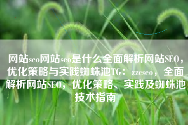 网站seo网站seo是什么全面解析网站SEO，优化策略与实践蜘蛛池TG：zzcseo，全面解析网站SEO，优化策略、实践及蜘蛛池技术指南
