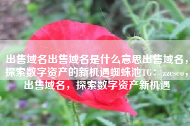 出售域名出售域名是什么意思出售域名，探索数字资产的新机遇蜘蛛池TG：zzcseo，出售域名，探索数字资产新机遇