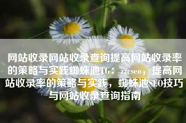 网站收录网站收录查询提高网站收录率的策略与实践蜘蛛池TG：zzcseo，提高网站收录率的策略与实践，蜘蛛池SEO技巧与网站收录查询指南