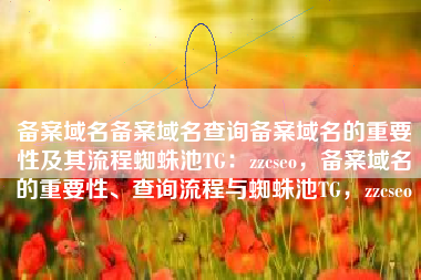 备案域名备案域名查询备案域名的重要性及其流程蜘蛛池TG：zzcseo，备案域名的重要性、查询流程与蜘蛛池TG，zzcseo