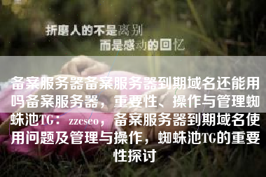 备案服务器备案服务器到期域名还能用吗备案服务器，重要性、操作与管理蜘蛛池TG：zzcseo，备案服务器到期域名使用问题及管理与操作，蜘蛛池TG的重要性探讨