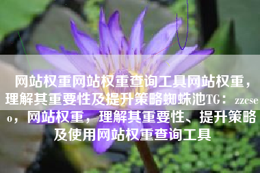网站权重网站权重查询工具网站权重，理解其重要性及提升策略蜘蛛池TG：zzcseo，网站权重，理解其重要性、提升策略及使用网站权重查询工具