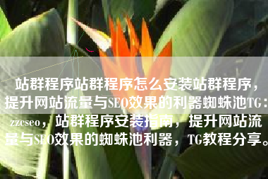 站群程序站群程序怎么安装站群程序，提升网站流量与SEO效果的利器蜘蛛池TG：zzcseo，站群程序安装指南，提升网站流量与SEO效果的蜘蛛池利器，TG教程分享。