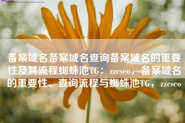 备案域名备案域名查询备案域名的重要性及其流程蜘蛛池TG：zzcseo，备案域名的重要性、查询流程与蜘蛛池TG，zzcseo