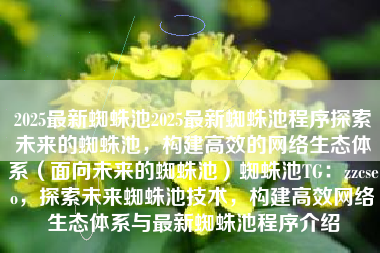 2025最新蜘蛛池2025最新蜘蛛池程序探索未来的蜘蛛池，构建高效的网络生态体系（面向未来的蜘蛛池）蜘蛛池TG：zzcseo，探索未来蜘蛛池技术，构建高效网络生态体系与最新蜘蛛池程序介绍