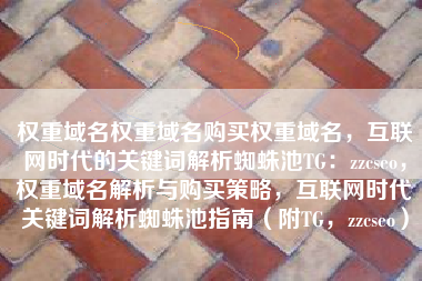 权重域名权重域名购买权重域名，互联网时代的关键词解析蜘蛛池TG：zzcseo，权重域名解析与购买策略，互联网时代关键词解析蜘蛛池指南（附TG，zzcseo）