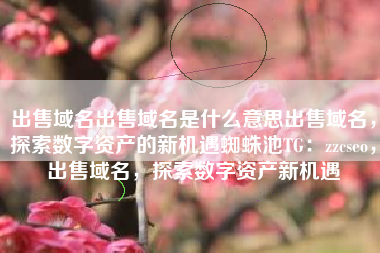 出售域名出售域名是什么意思出售域名，探索数字资产的新机遇蜘蛛池TG：zzcseo，出售域名，探索数字资产新机遇
