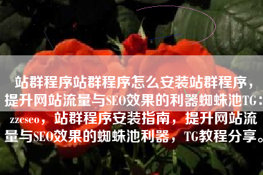 站群程序站群程序怎么安装站群程序，提升网站流量与SEO效果的利器蜘蛛池TG：zzcseo，站群程序安装指南，提升网站流量与SEO效果的蜘蛛池利器，TG教程分享。