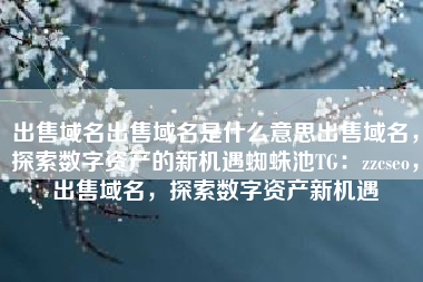 出售域名出售域名是什么意思出售域名，探索数字资产的新机遇蜘蛛池TG：zzcseo，出售域名，探索数字资产新机遇