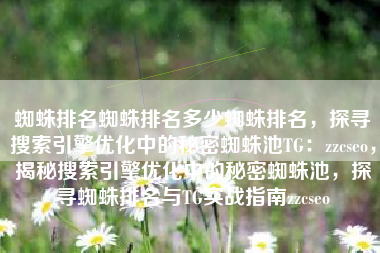 蜘蛛排名蜘蛛排名多少蜘蛛排名，探寻搜索引擎优化中的秘密蜘蛛池TG：zzcseo，揭秘搜索引擎优化中的秘密蜘蛛池，探寻蜘蛛排名与TG实战指南zzcseo