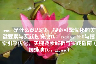 seoseo是什么意思SEO，搜索引擎优化的关键要素与实践蜘蛛池TG：zzcseo，SEO与搜索引擎优化，关键要素解析与实践指南（蜘蛛池TG，zzcseo）