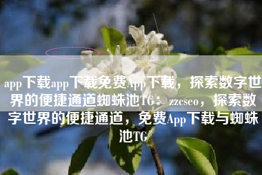 app下载app下载免费App下载，探索数字世界的便捷通道蜘蛛池TG：zzcseo，探索数字世界的便捷通道，免费App下载与蜘蛛池TG