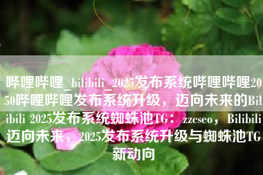 哔哩哔哩_bilibili_2025发布系统哔哩哔哩2050哔哩哔哩发布系统升级，迈向未来的Bilibili 2025发布系统蜘蛛池TG：zzcseo，Bilibili迈向未来，2025发布系统升级与蜘蛛池TG新动向